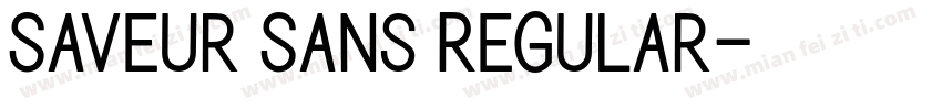 Saveur Sans Regular字体转换